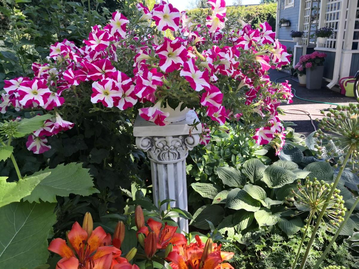 Lovely Mint Garden * Vanda