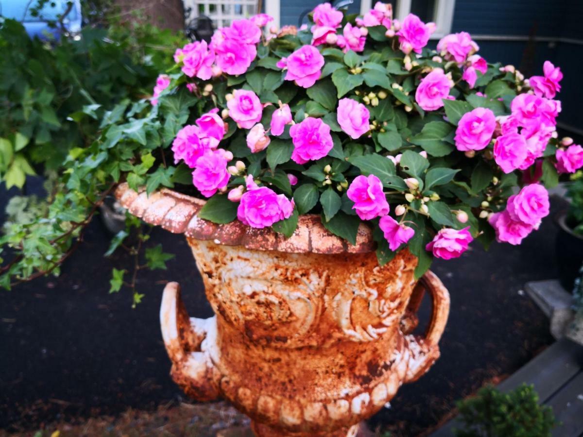 Appartamento Lovely Mint Garden